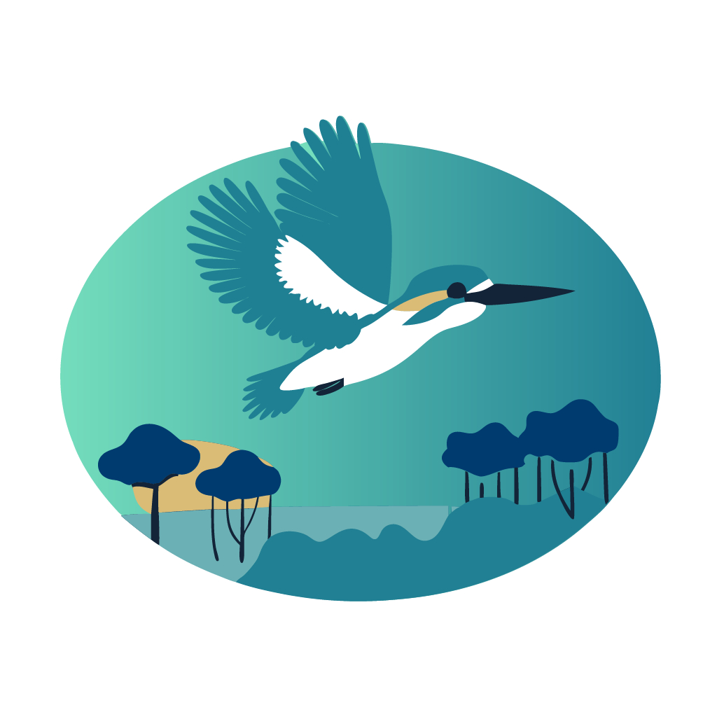 Investment balance chart